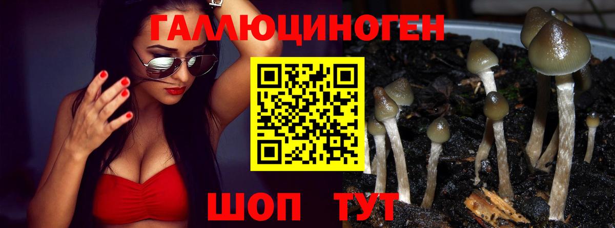 как найти наркотики  Вход с VPN  Печора  Псилоцибиновые грибы мицелий 